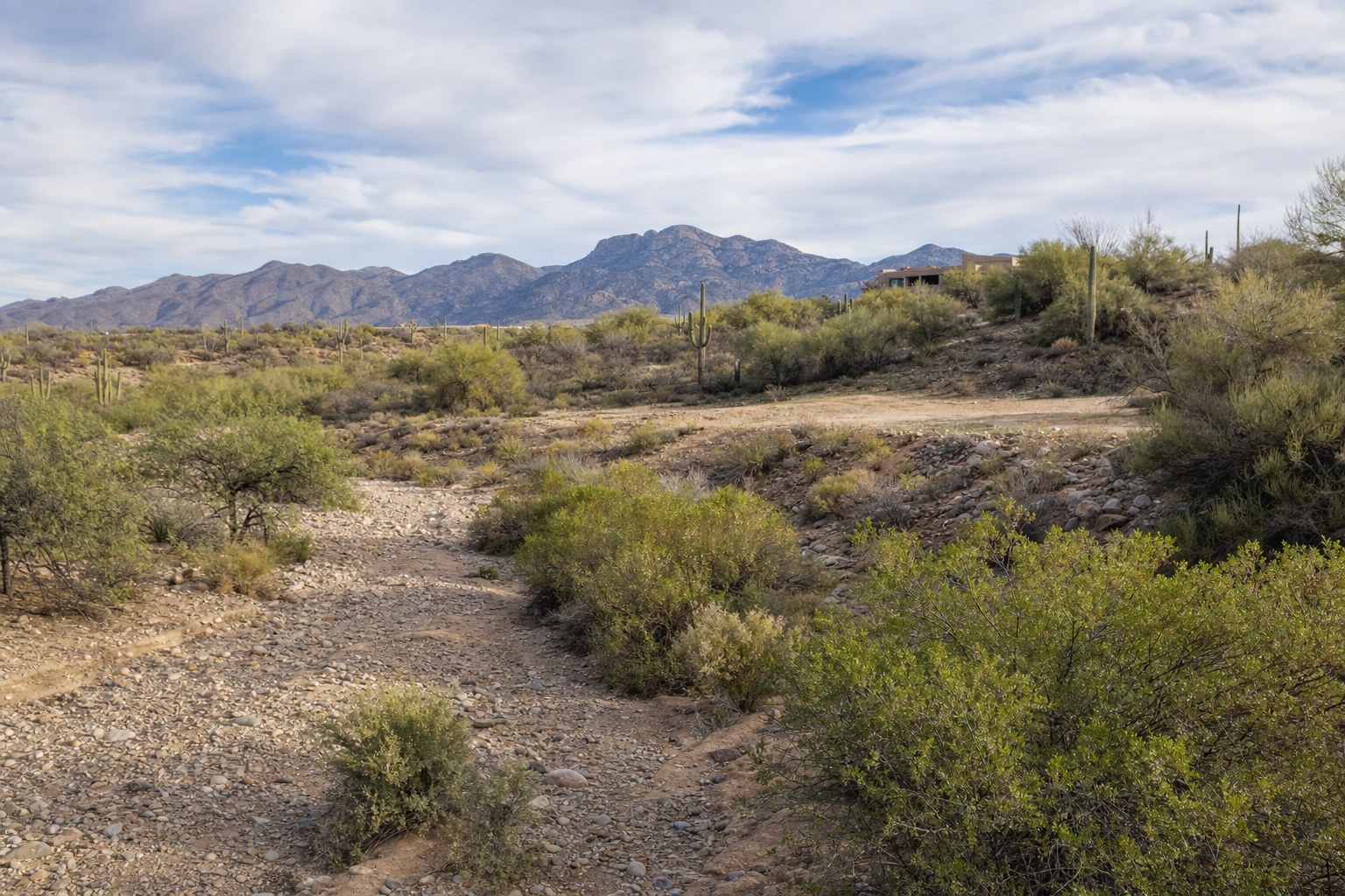 Natural desert wash and elevated homesite area on an Arizona lot