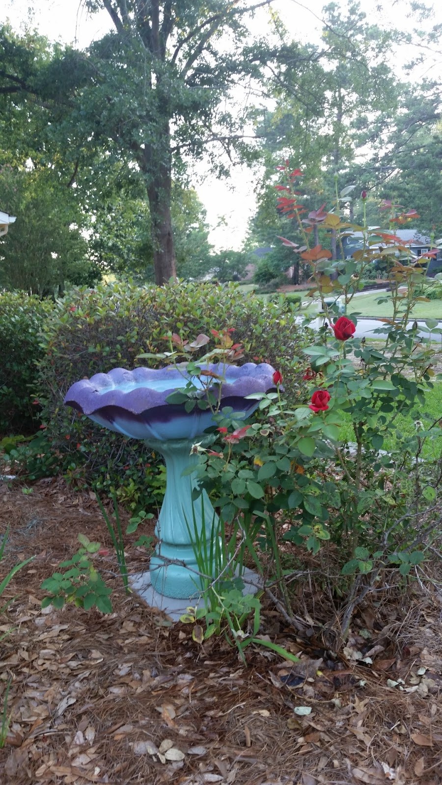 Gallery image from Martin Ministries 10