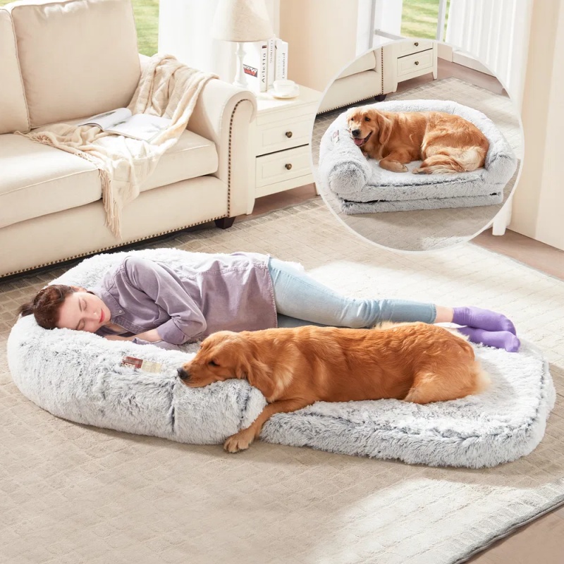 Dog relaxing on a cushioned pet bed
