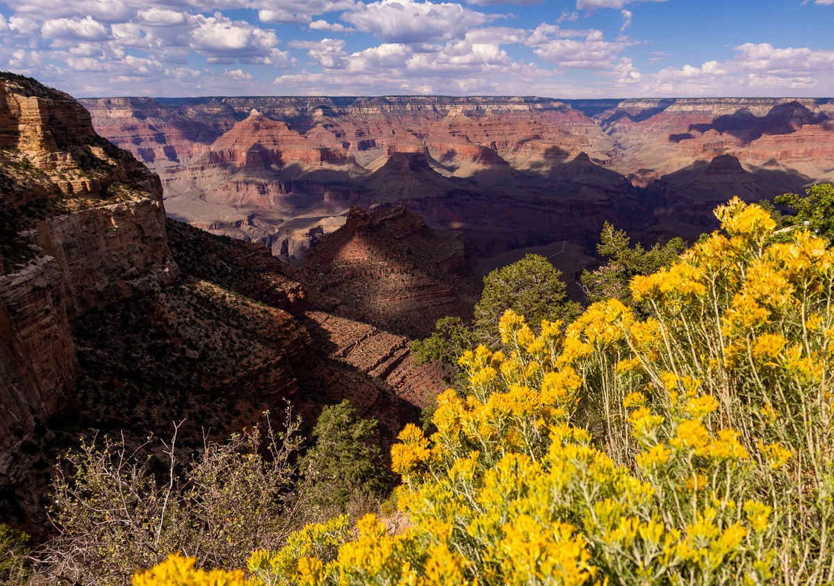 Nature photograph by Susanne Harm