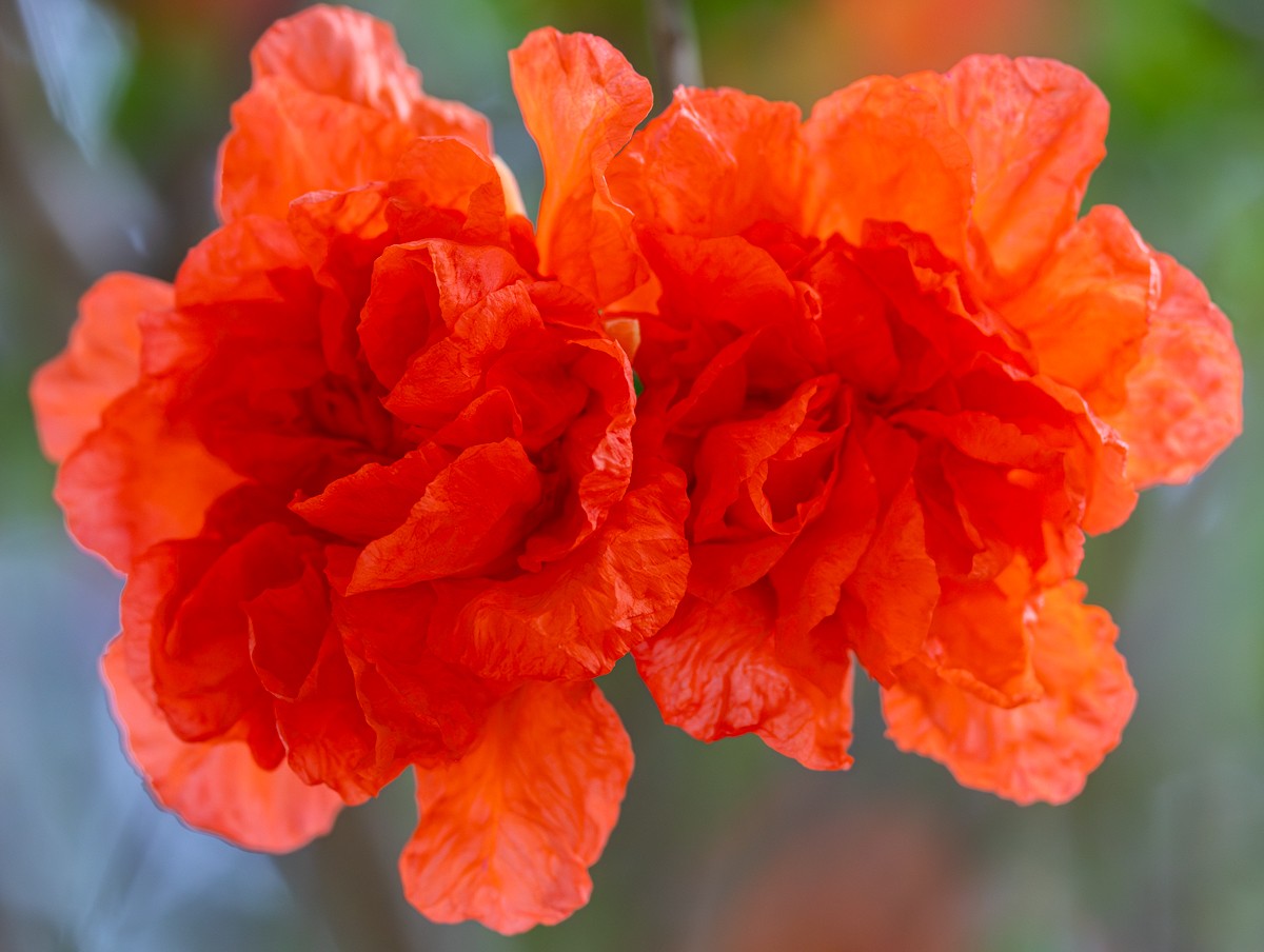 Nature photograph by Susanne Harm