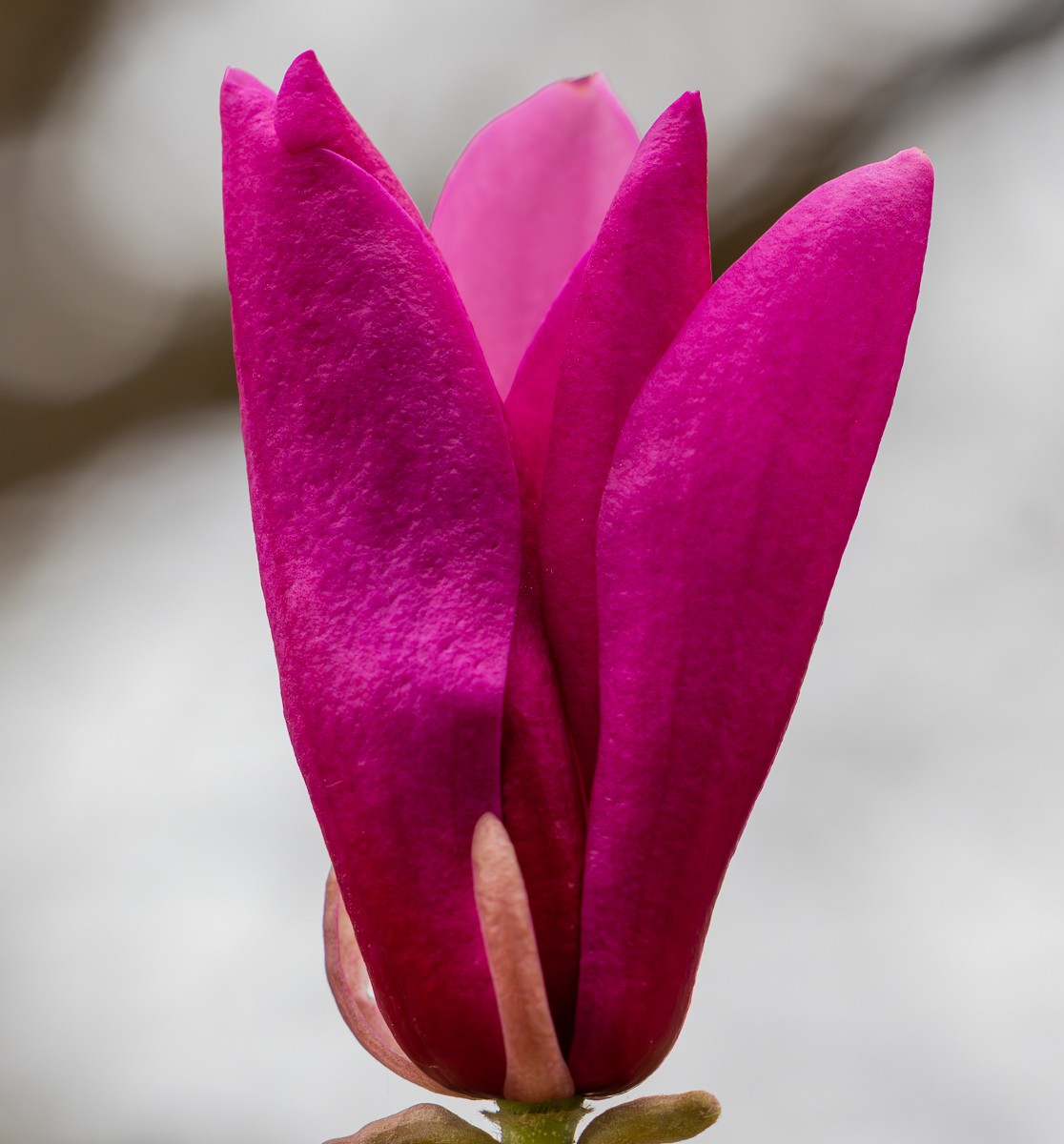 Nature photograph by Susanne Harm