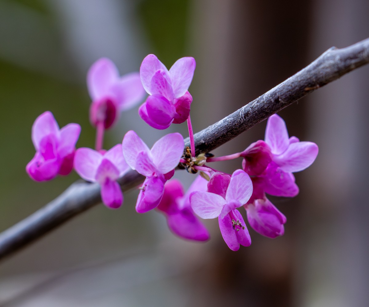 Nature photograph by Susanne Harm