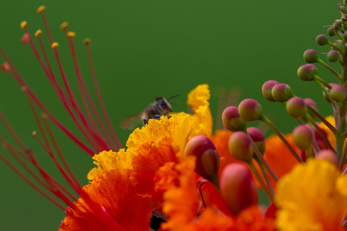 Nature photograph by Susanne Harm