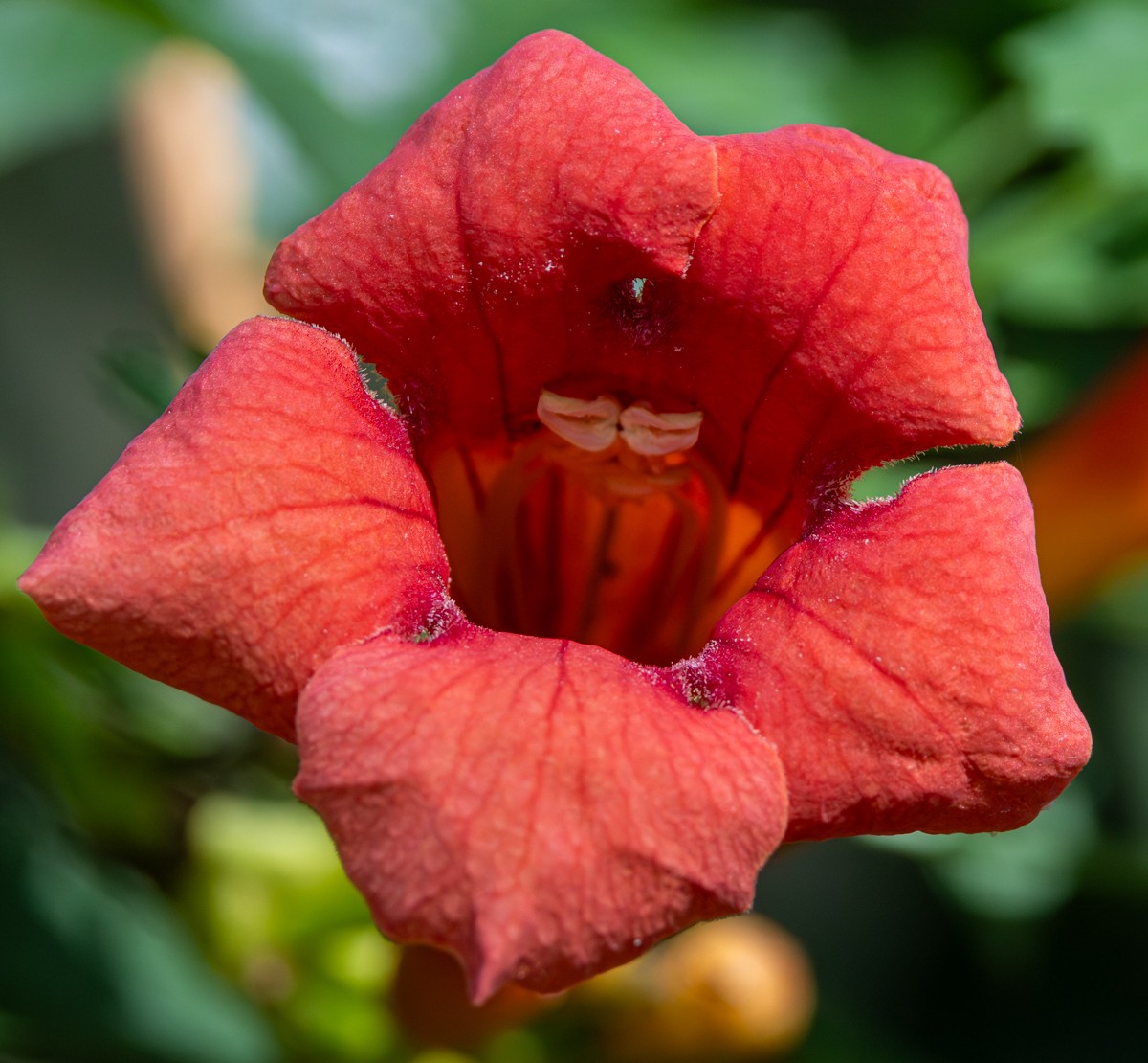 Nature photograph by Susanne Harm