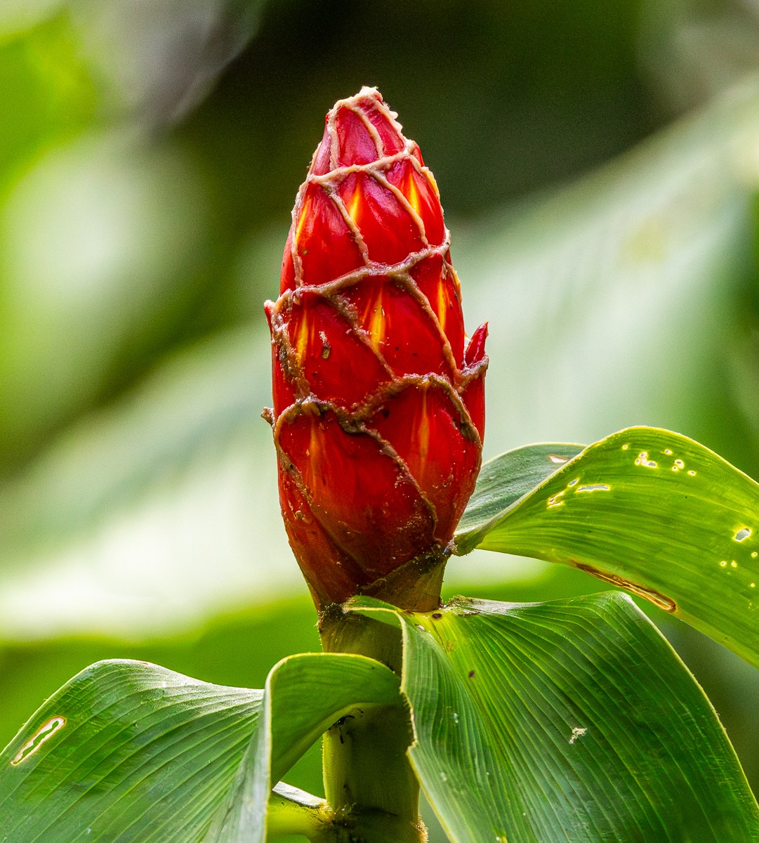 Nature photograph by Susanne Harm