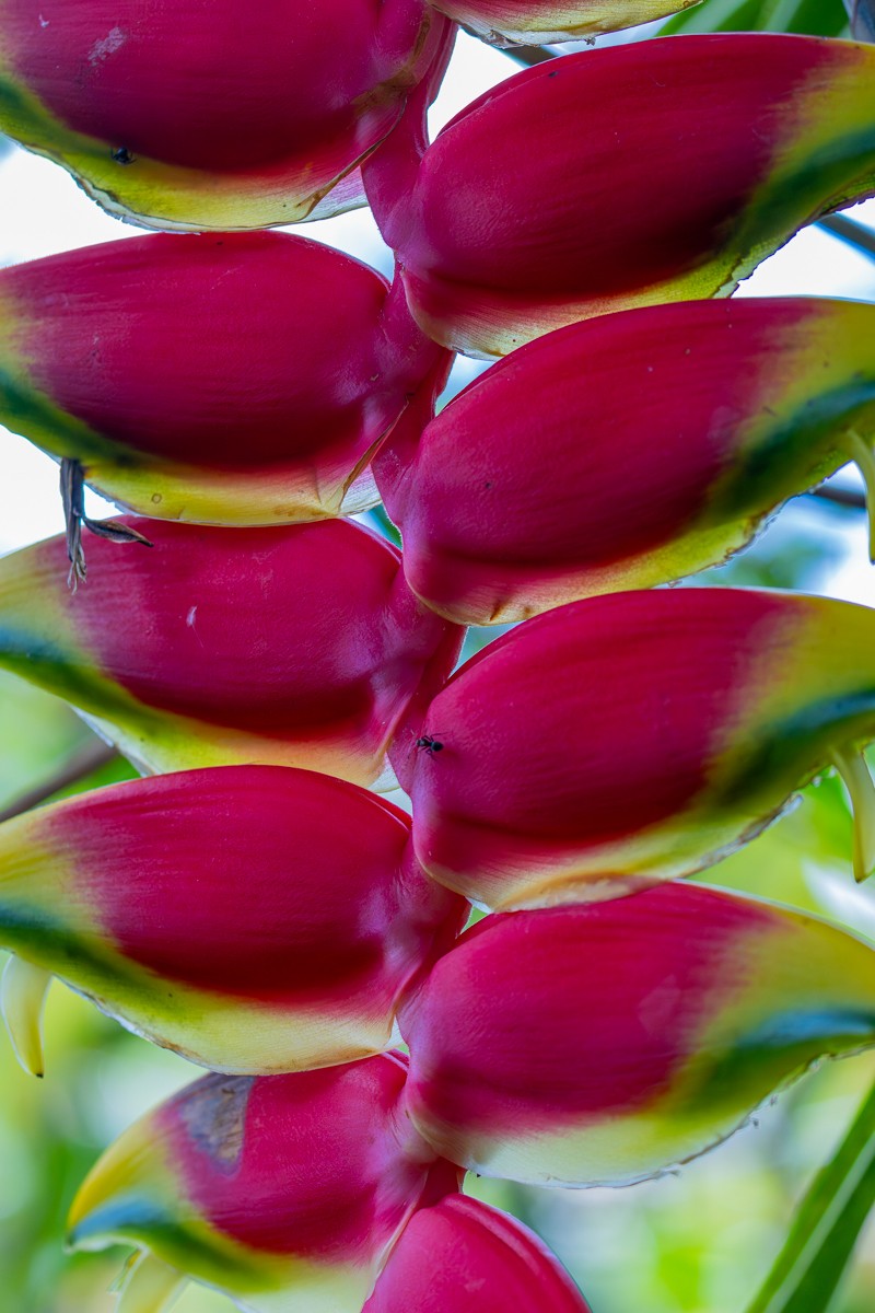 Nature photograph by Susanne Harm