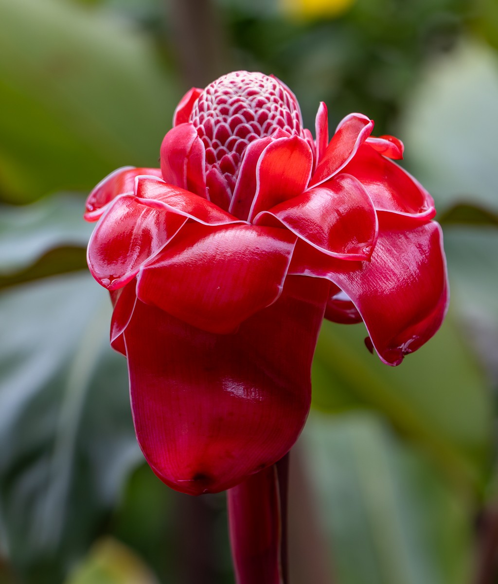 Nature photograph by Susanne Harm
