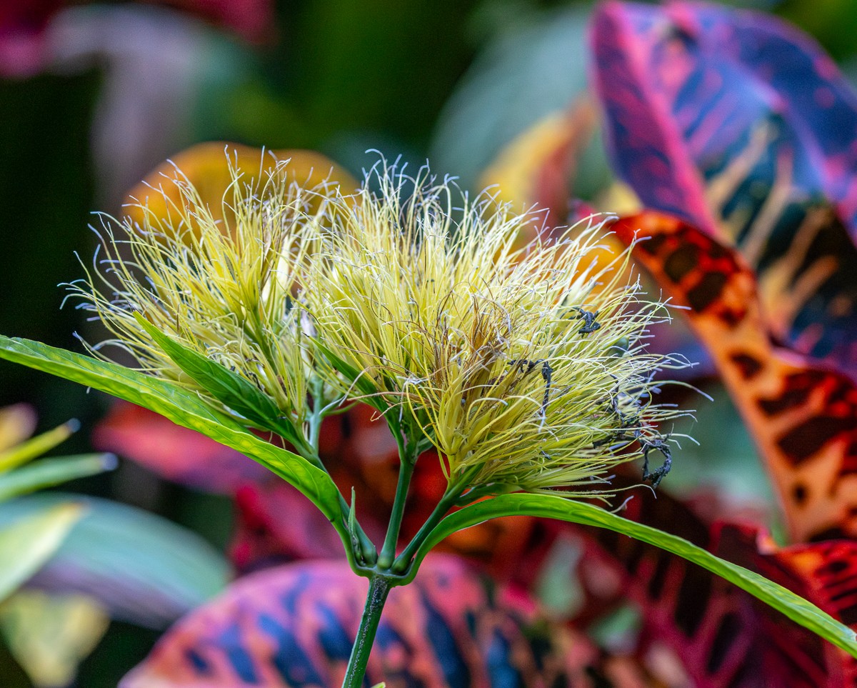 Nature photograph by Susanne Harm