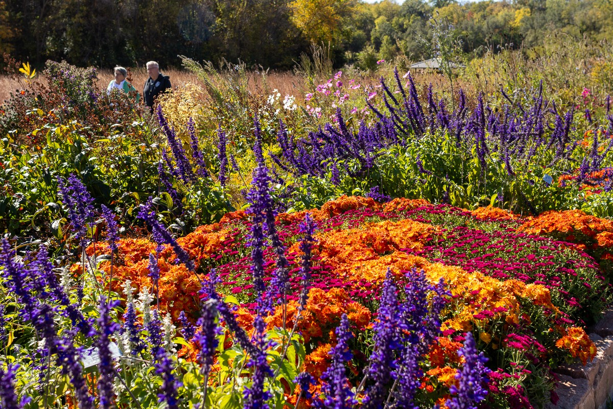 Nature photograph by Susanne Harm