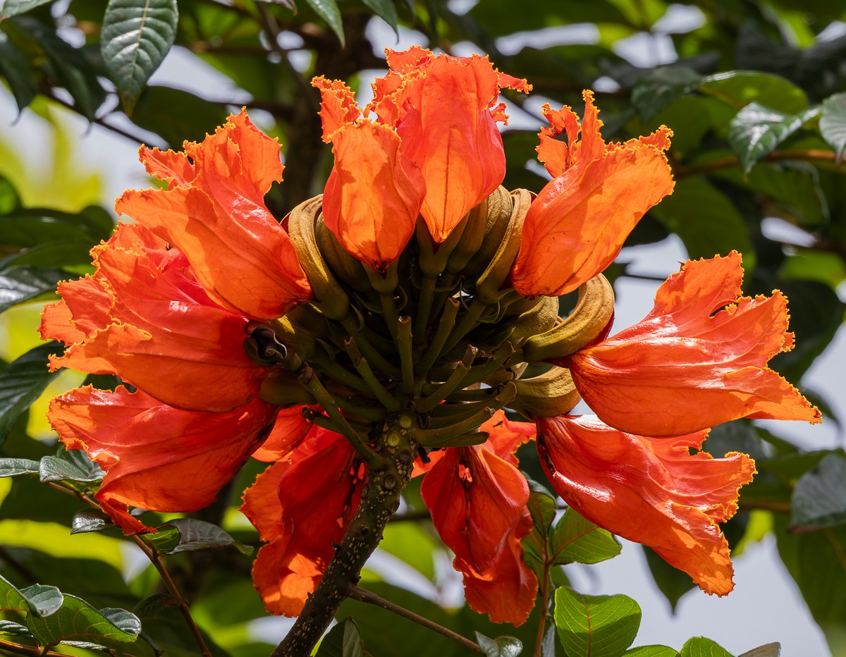 Nature photograph by Susanne Harm