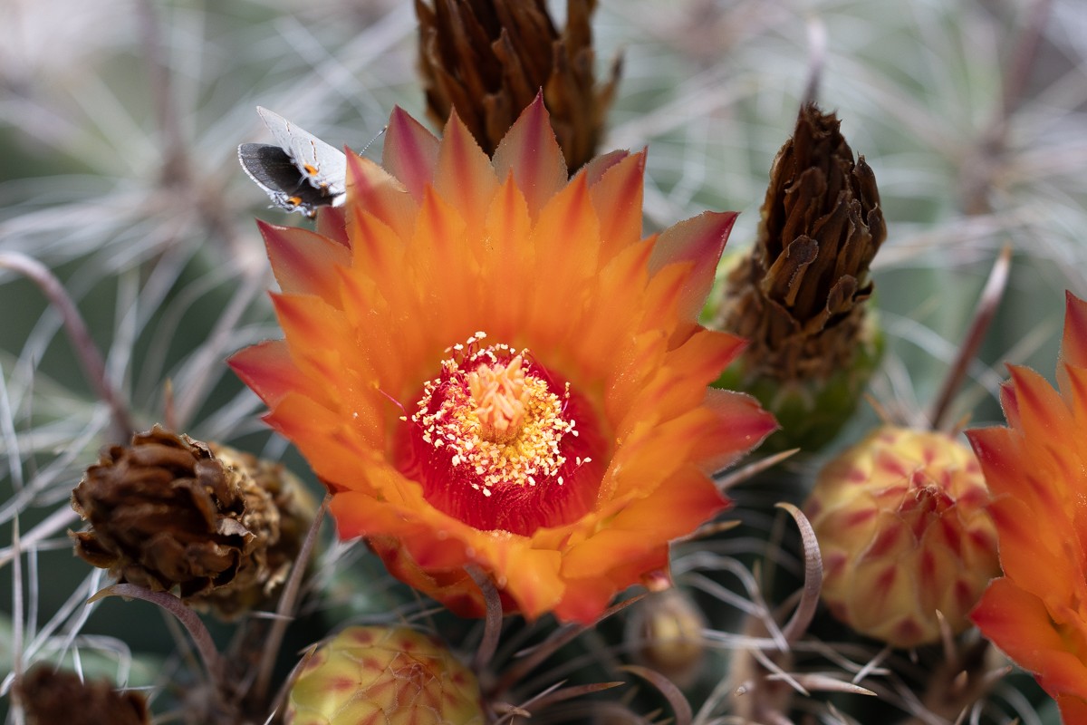 Nature photograph by Susanne Harm
