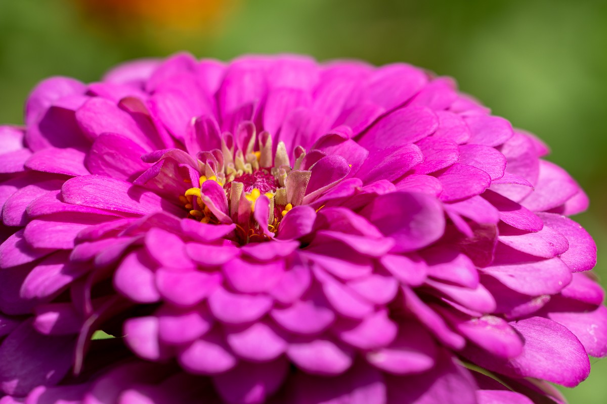Nature photograph by Susanne Harm