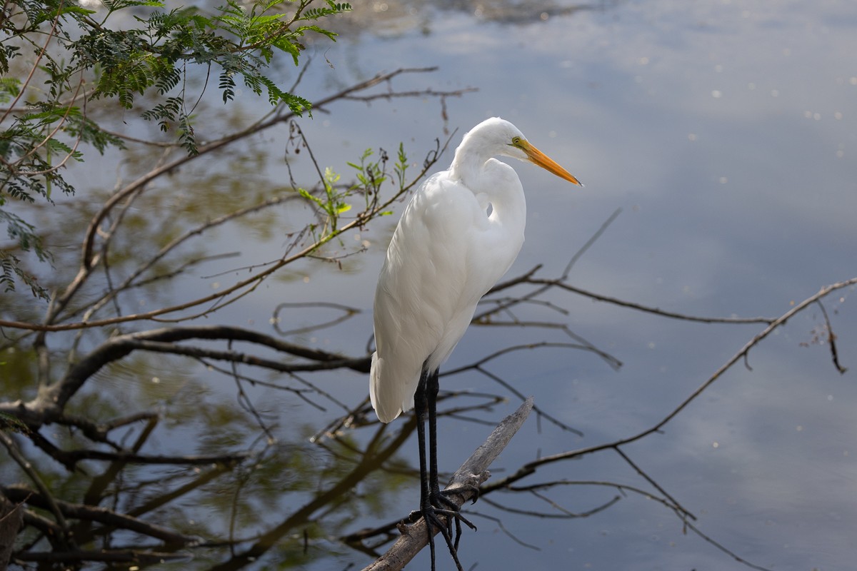 Scenery photograph by Susanne Harm