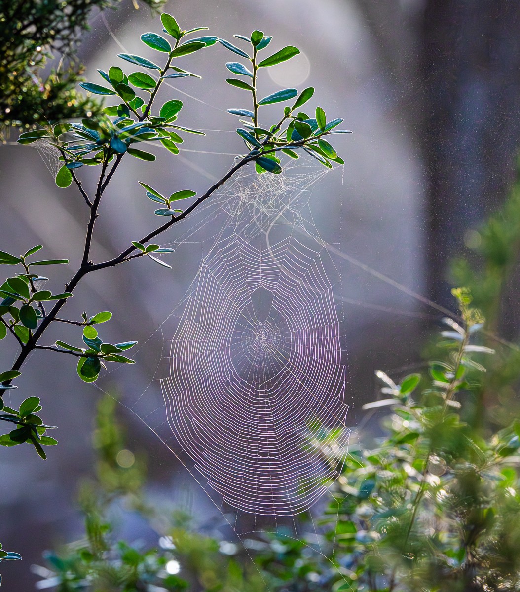 Scenery photograph by Susanne Harm