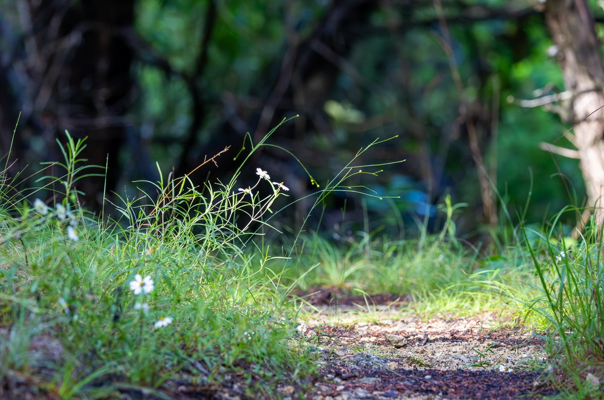 Scenery photograph by Susanne Harm