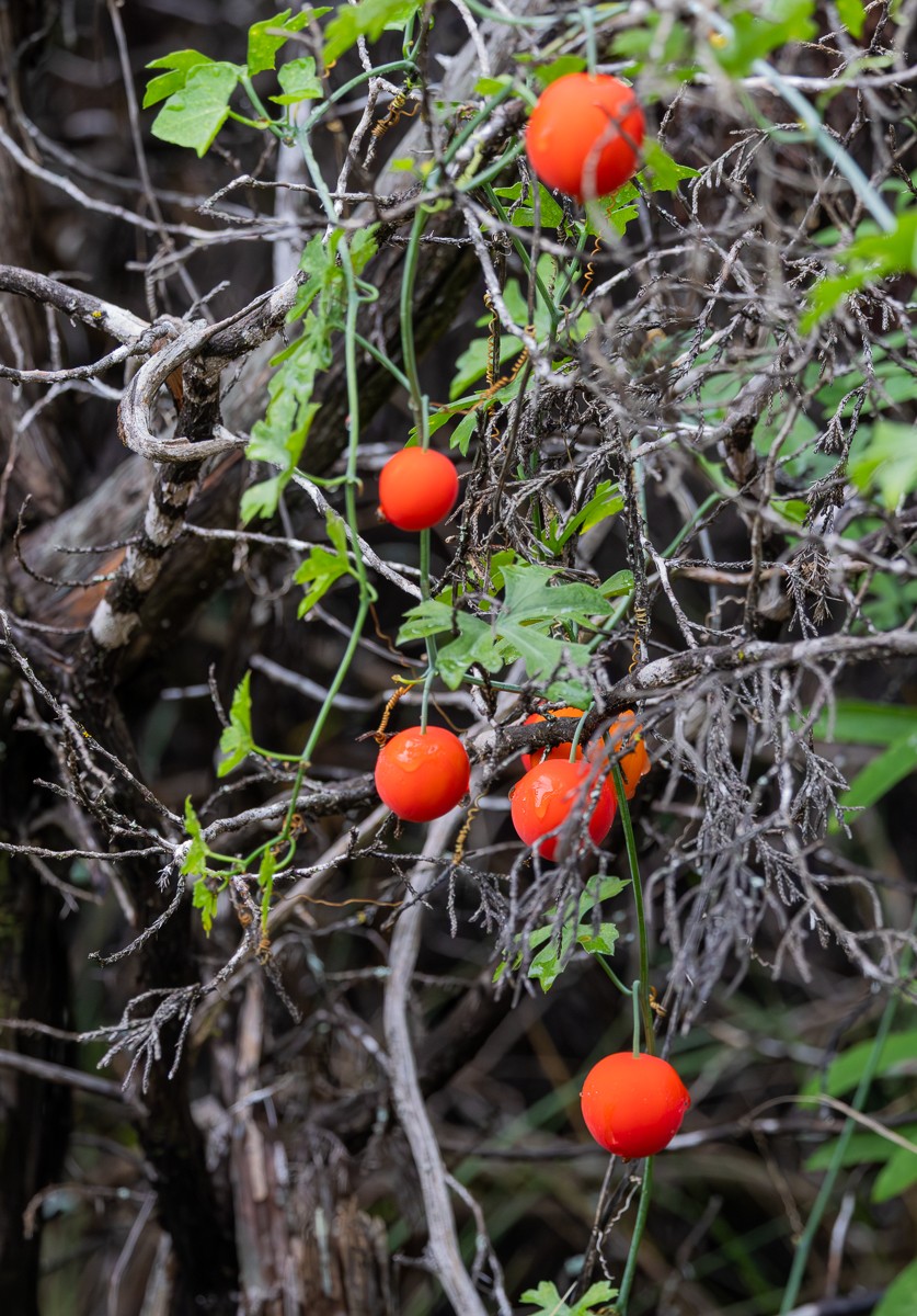 Scenery photograph by Susanne Harm