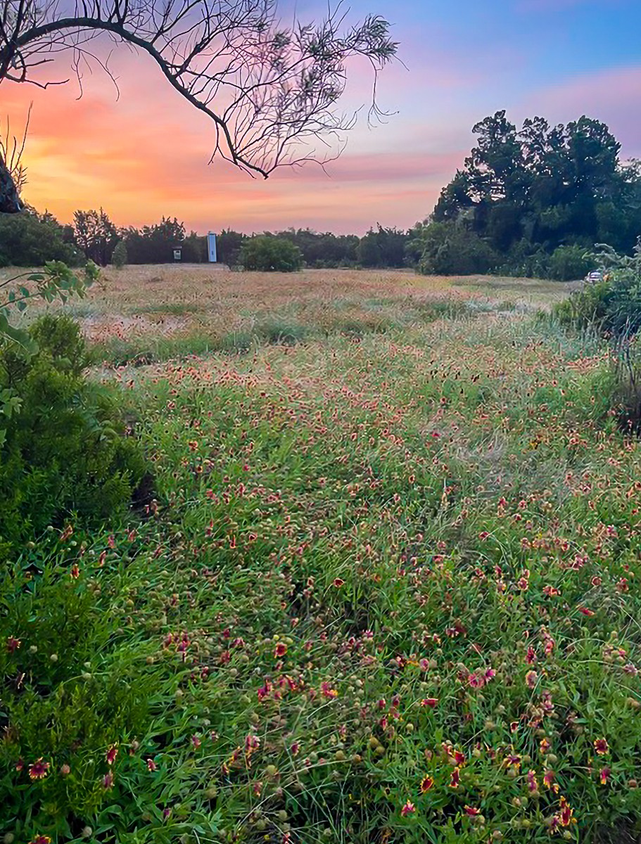Scenery photograph by Susanne Harm