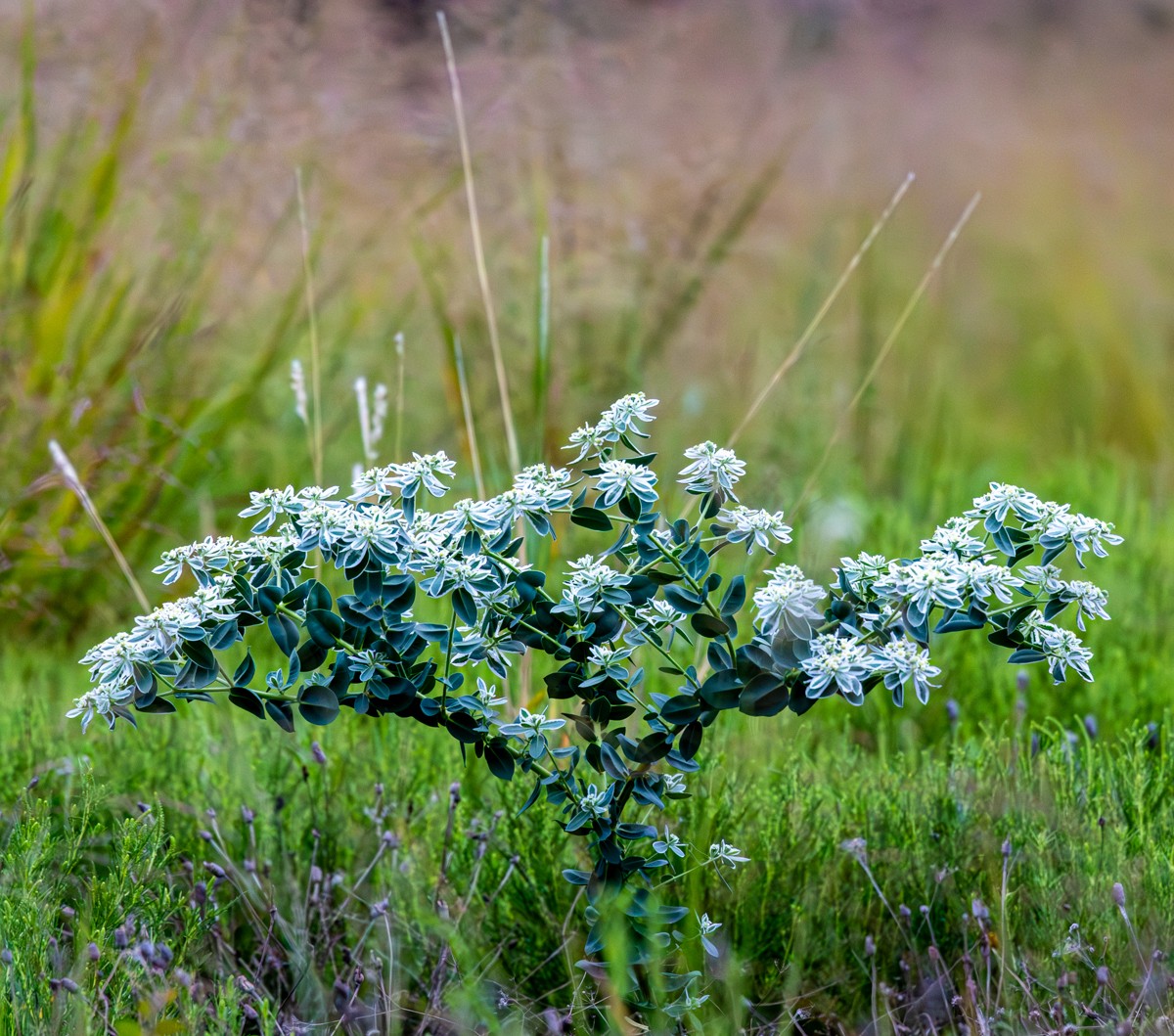 Scenery photograph by Susanne Harm