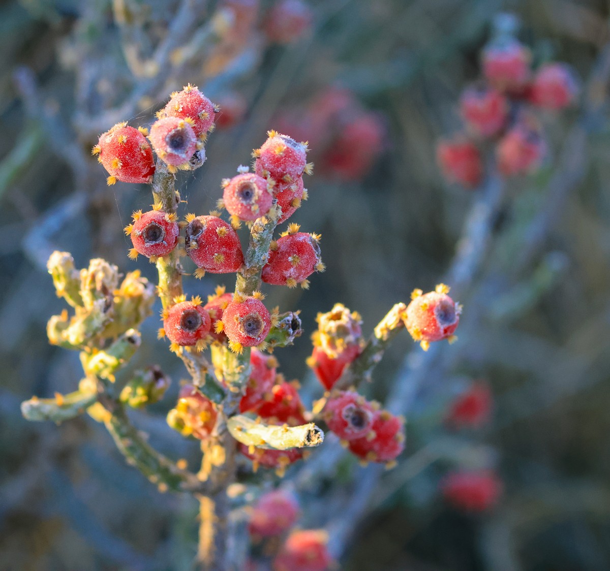 Scenery photograph by Susanne Harm