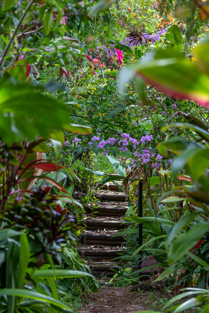 Scenery photograph by Susanne Harm