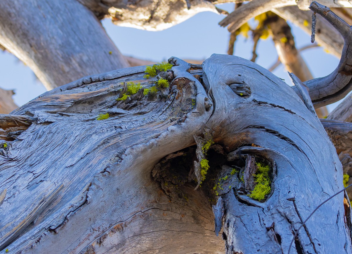 Scenery photograph by Susanne Harm