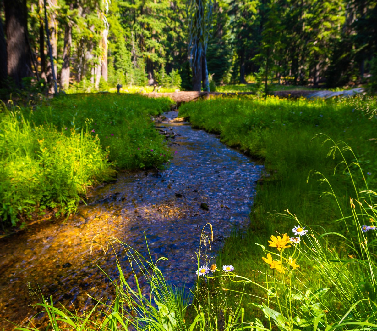 Scenery photograph by Susanne Harm