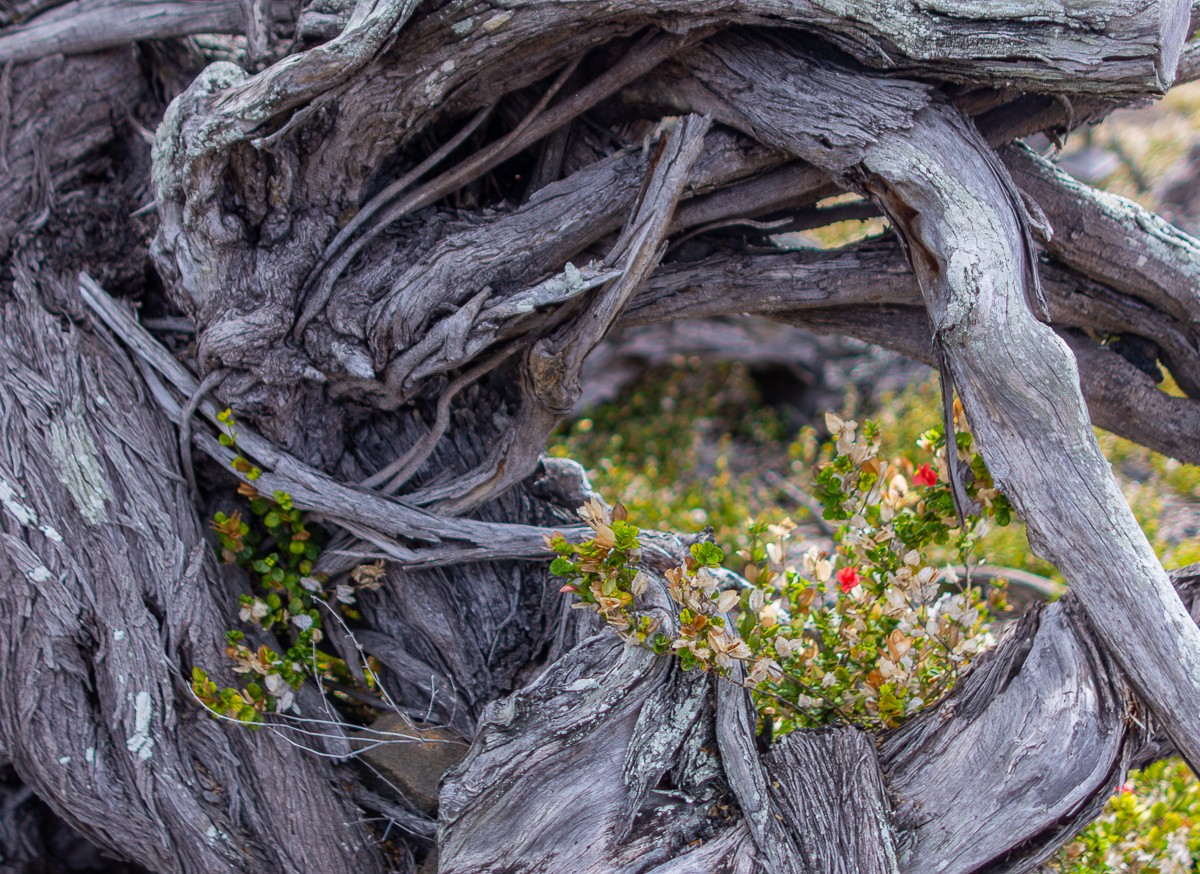 Scenery photograph by Susanne Harm