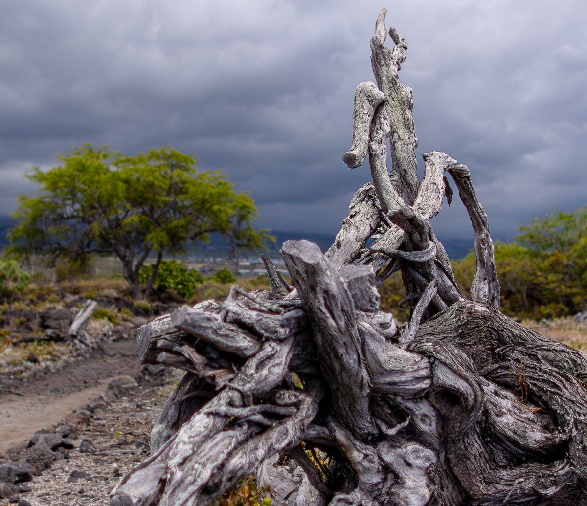 Scenery photograph by Susanne Harm
