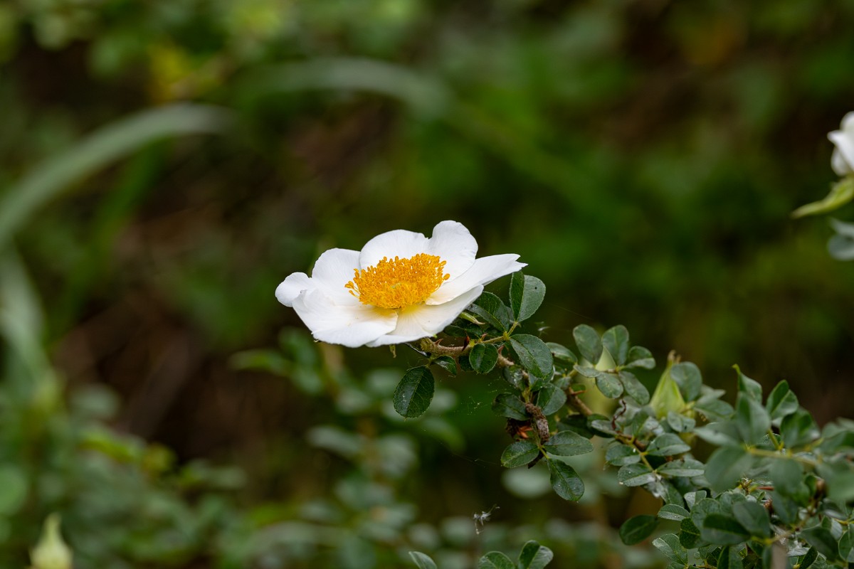 Scenery photograph by Susanne Harm