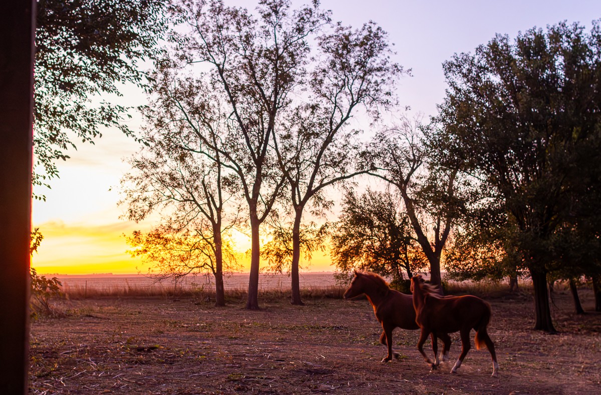 Scenery photograph by Susanne Harm