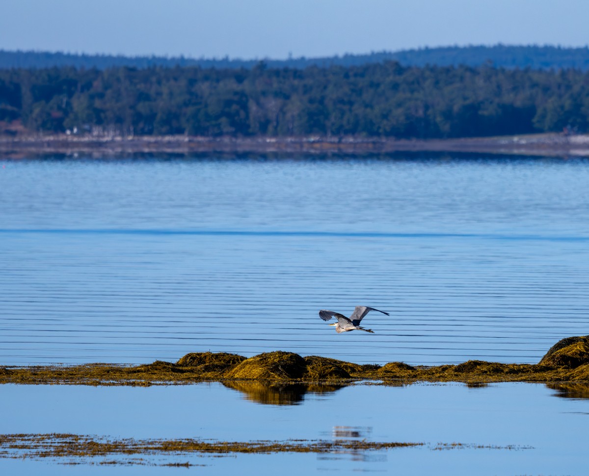 Scenery photograph by Susanne Harm