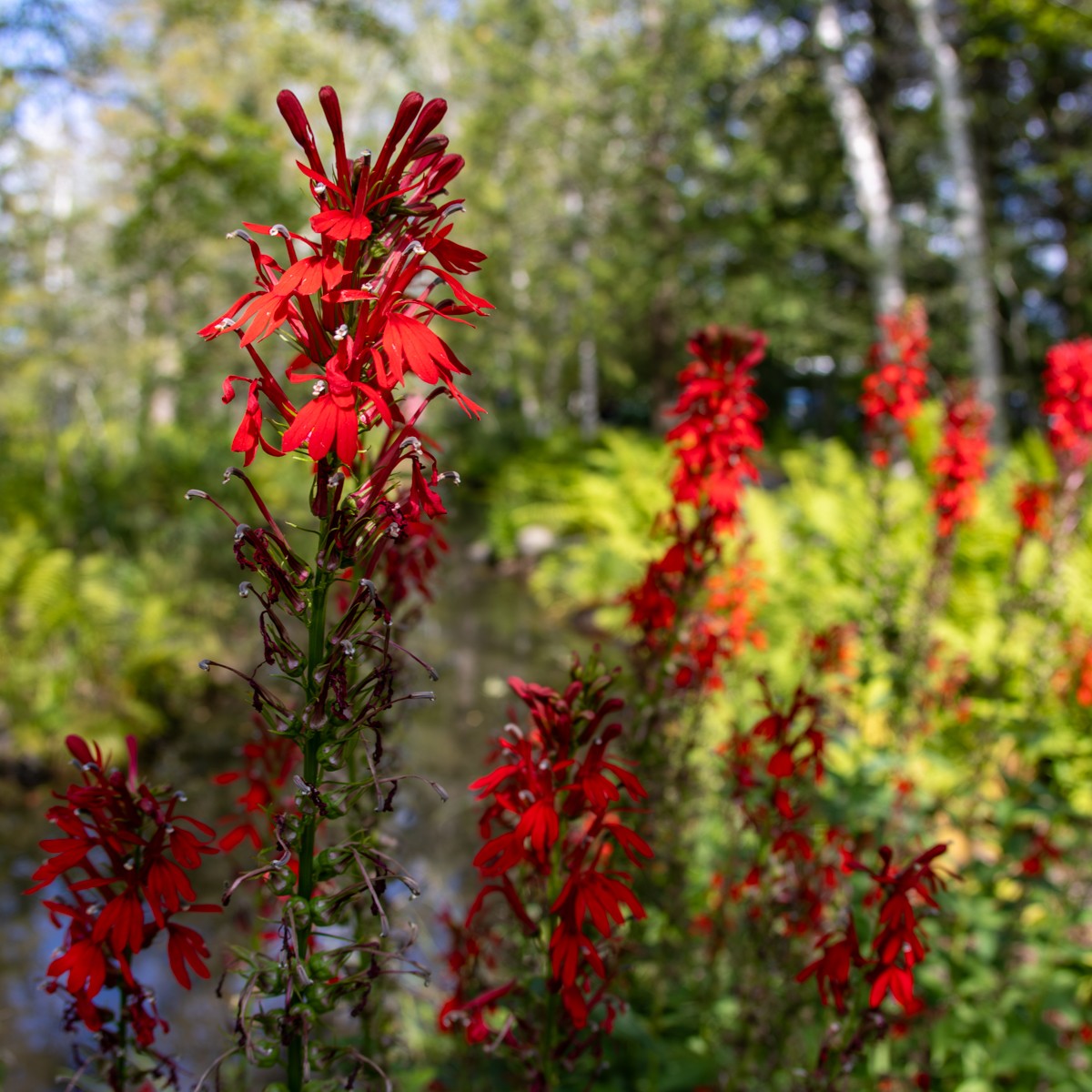 Scenery photograph by Susanne Harm