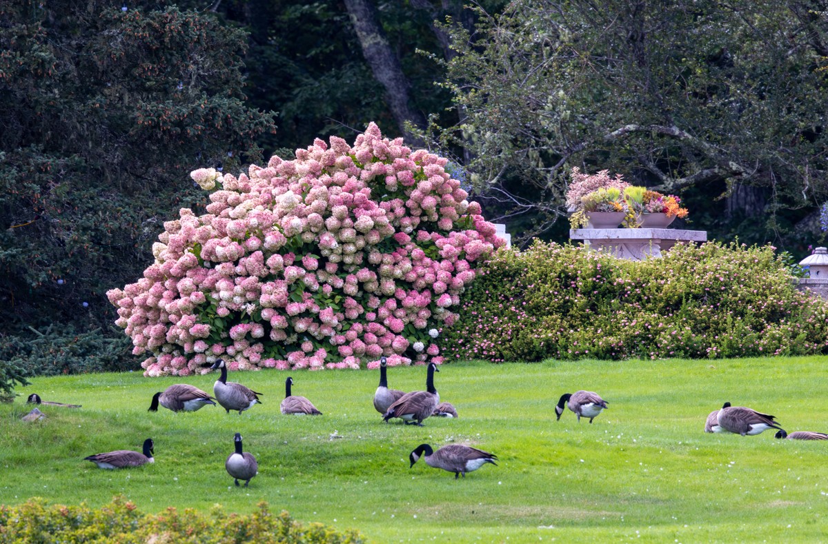 Scenery photograph by Susanne Harm