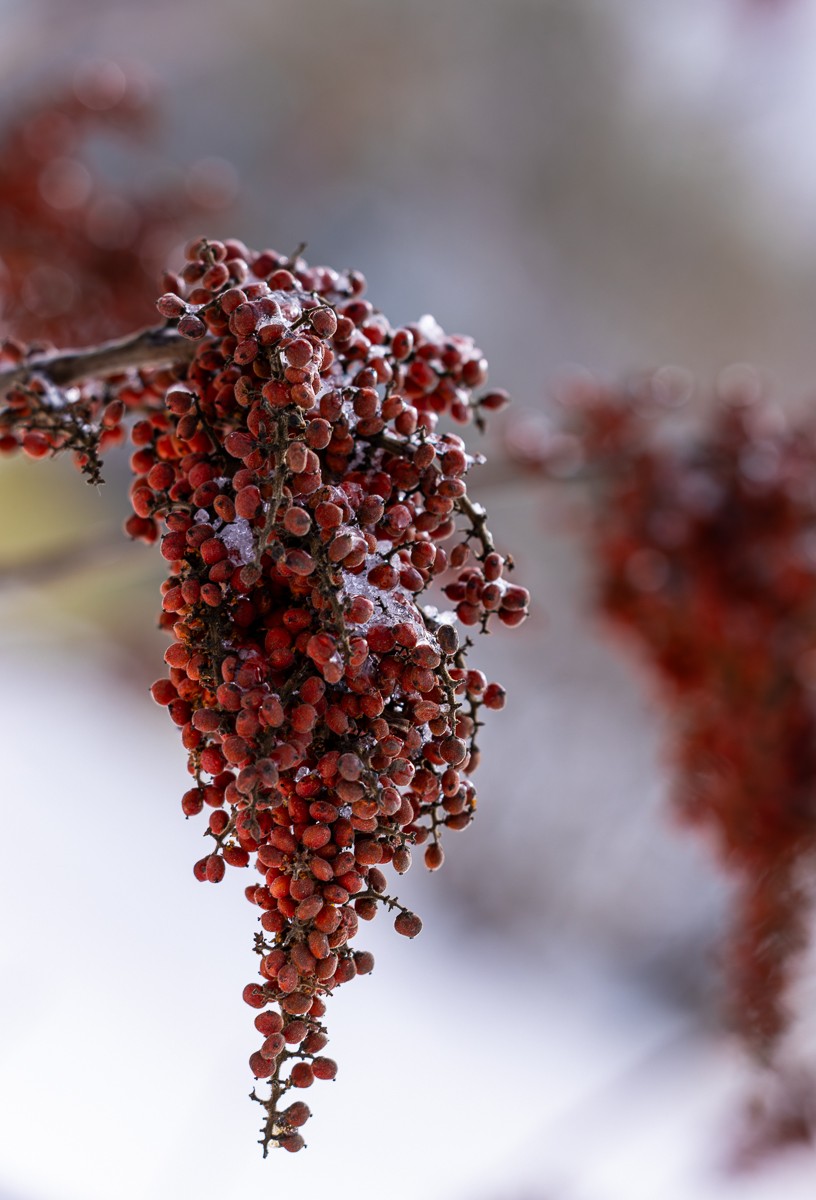 Scenery photograph by Susanne Harm