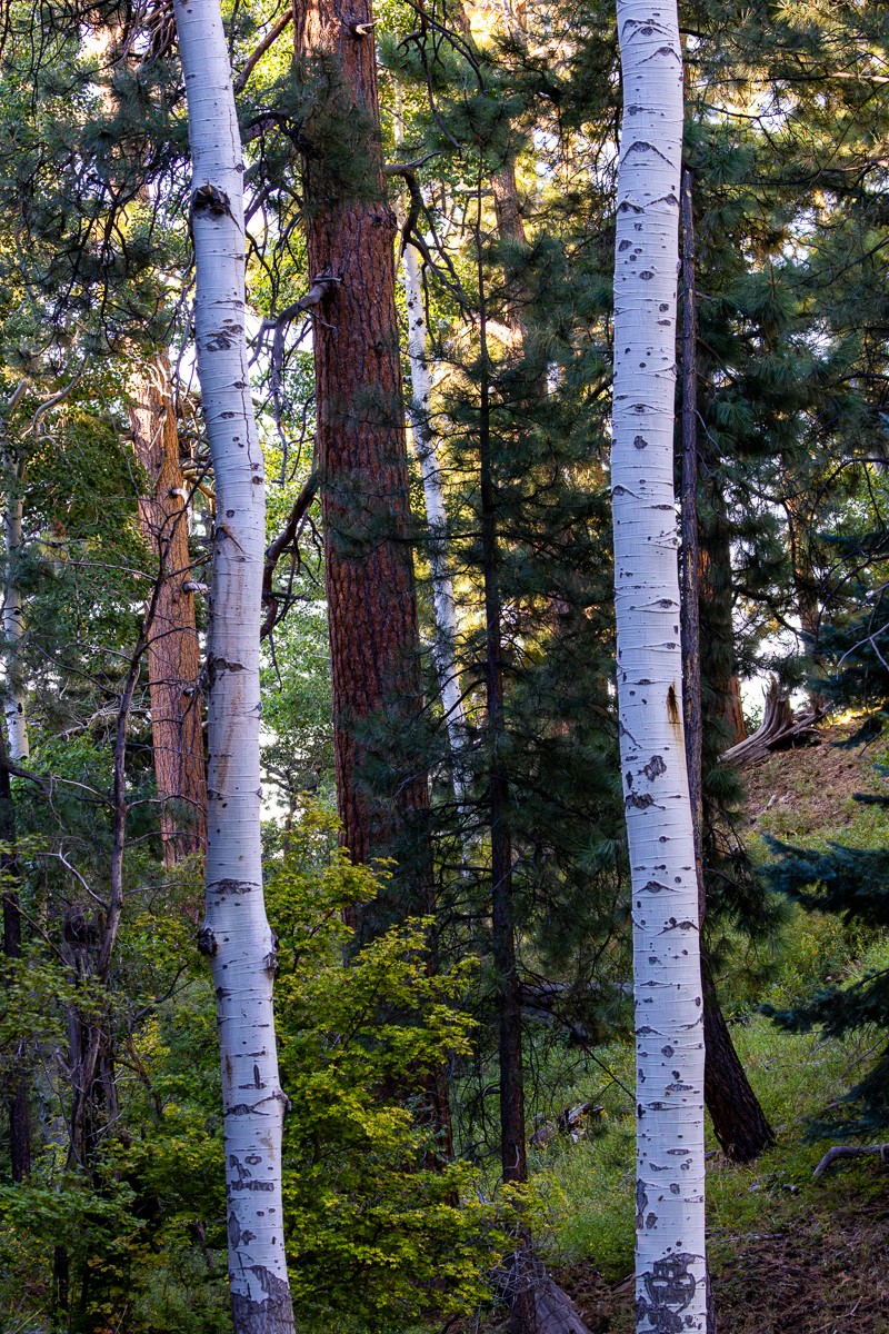 Scenery photograph by Susanne Harm