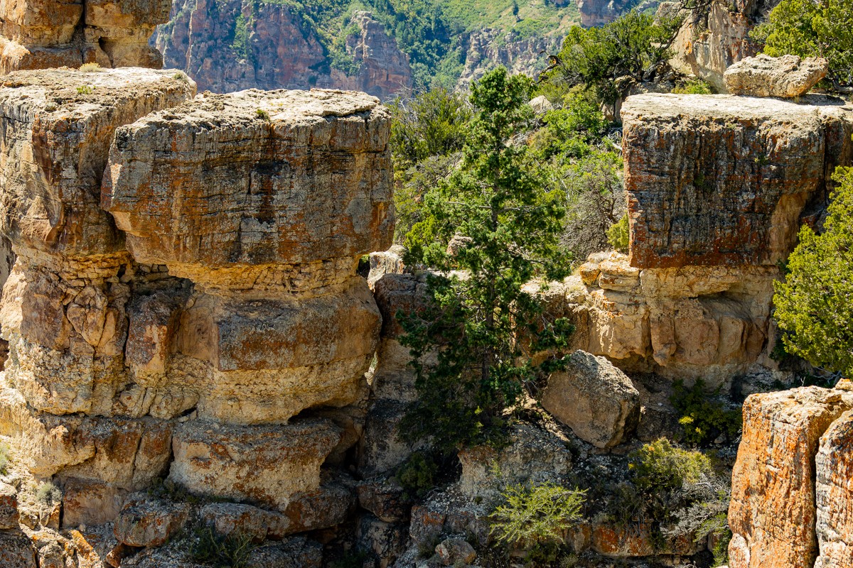 Scenery photograph by Susanne Harm