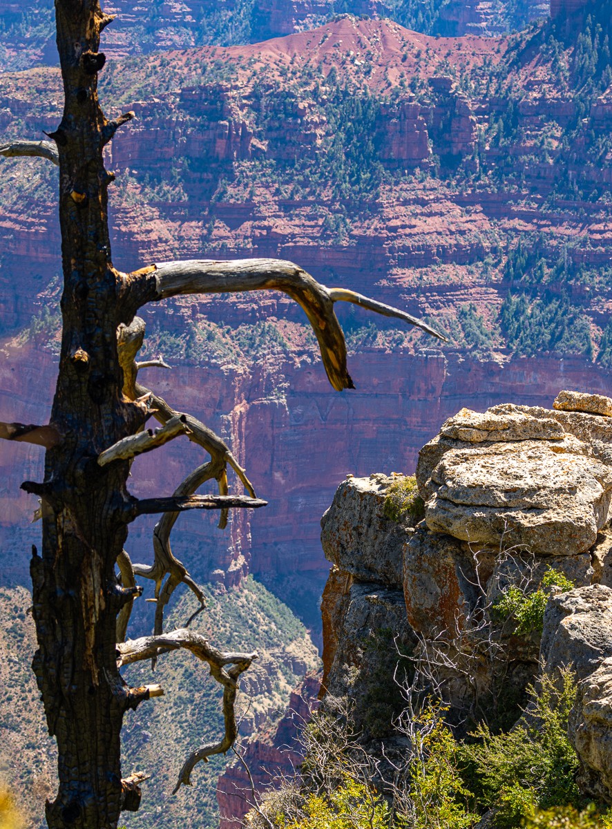 Scenery photograph by Susanne Harm