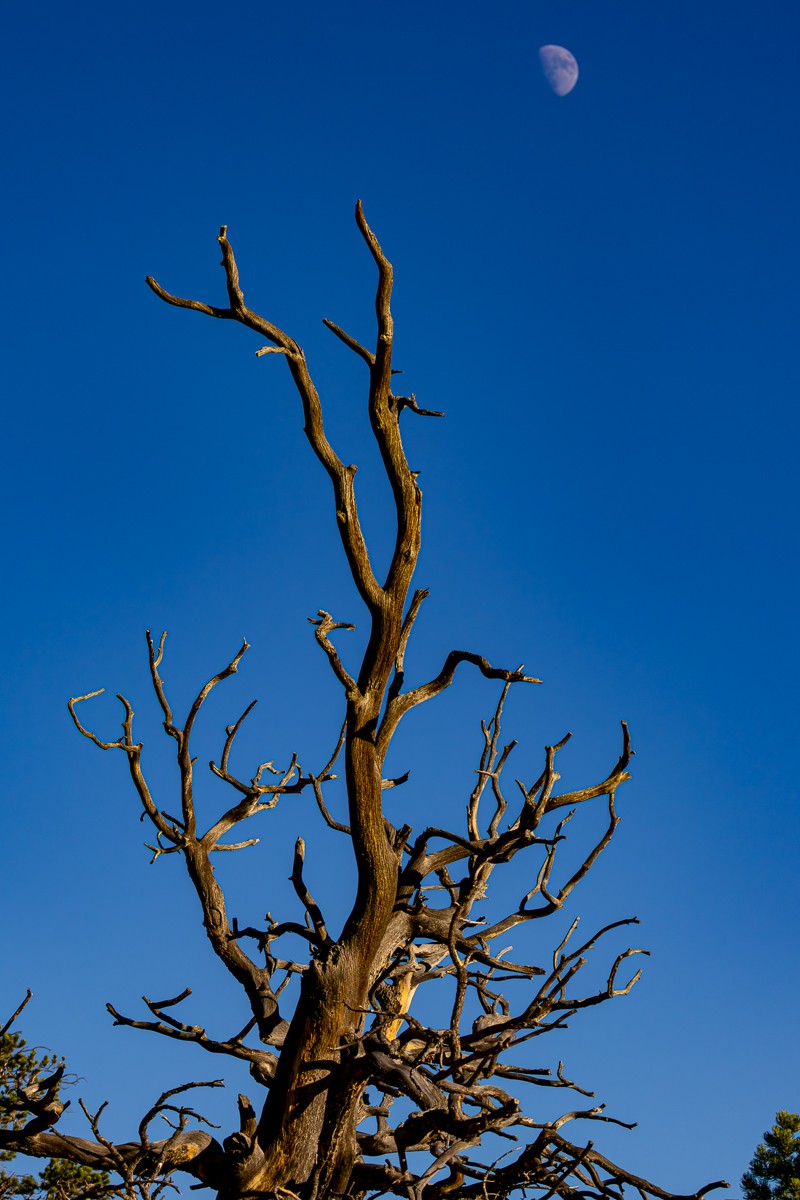 Scenery photograph by Susanne Harm