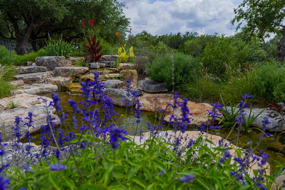 Scenery photograph by Susanne Harm