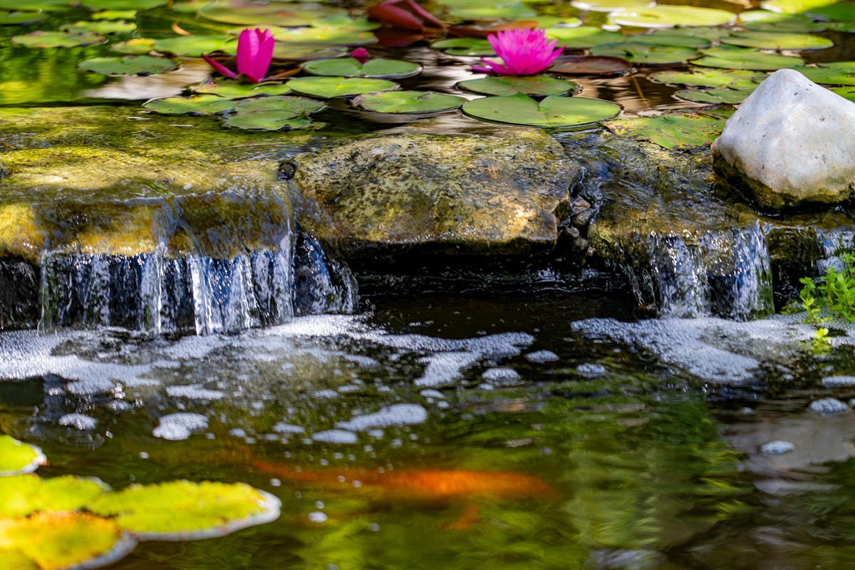 Scenery photograph by Susanne Harm
