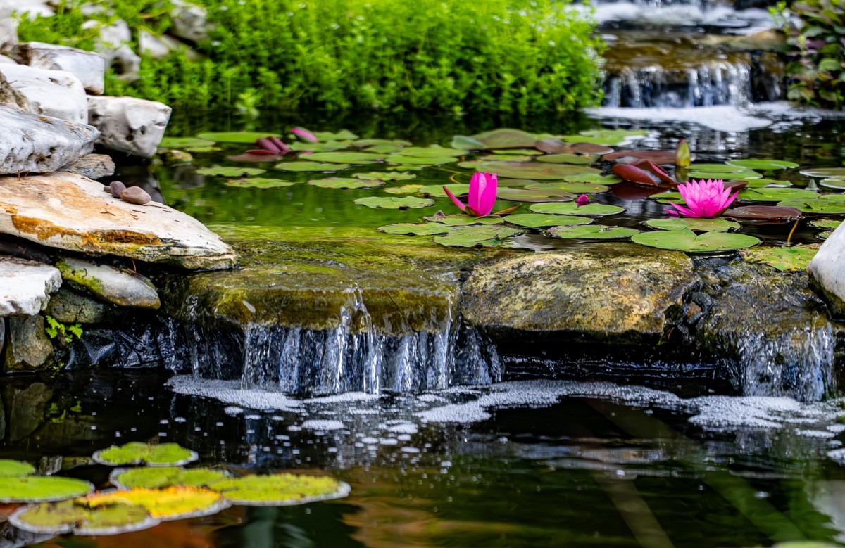 Scenery photograph by Susanne Harm