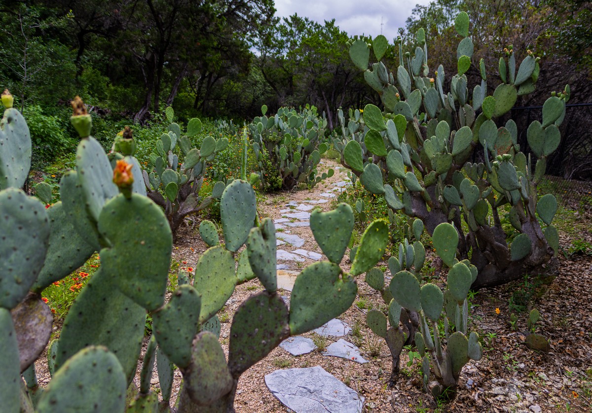 Scenery photograph by Susanne Harm