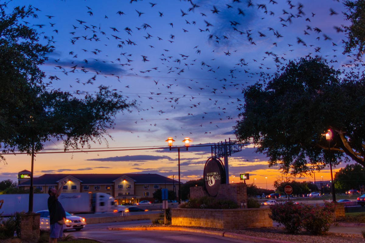 Scenery photograph by Susanne Harm