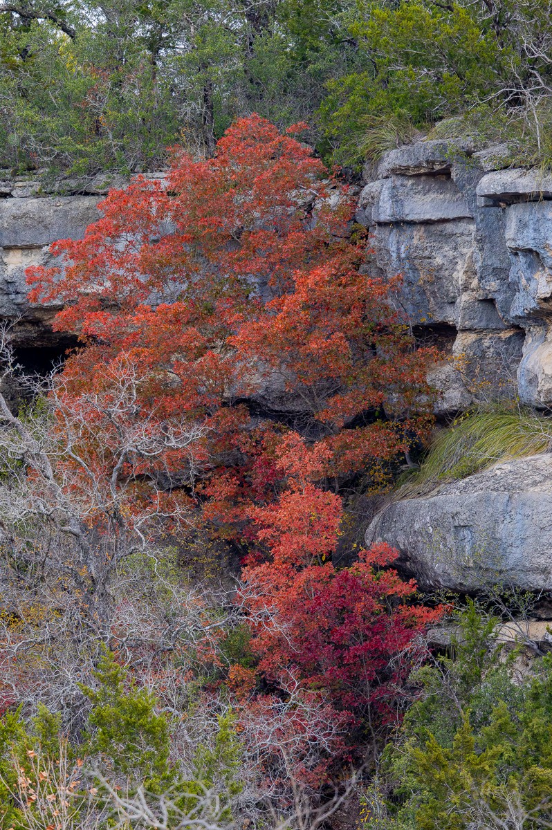 Scenery photograph by Susanne Harm