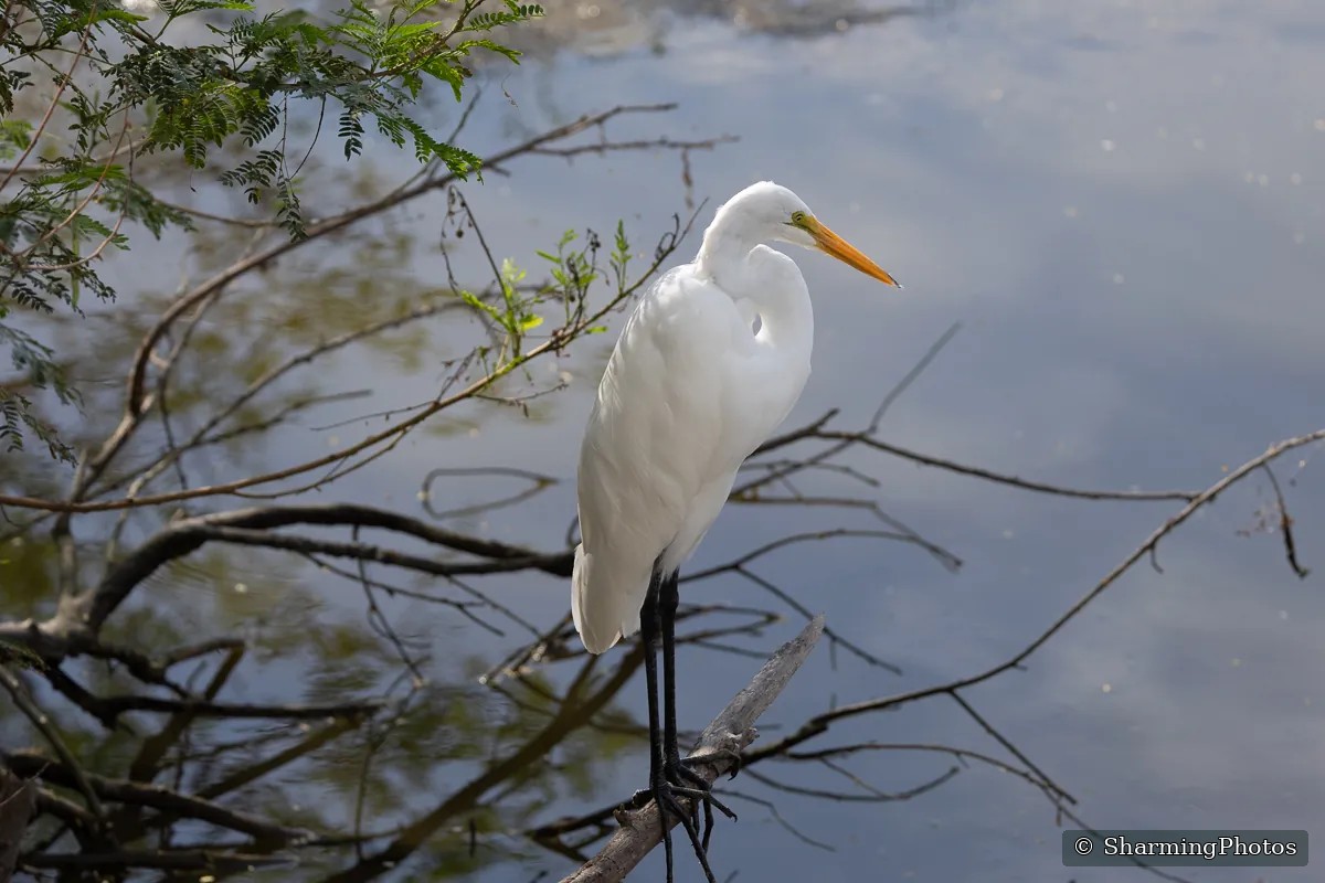 Scenery photograph by Susanne Harm
