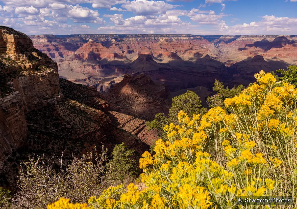 Nature photograph by Susanne Harm