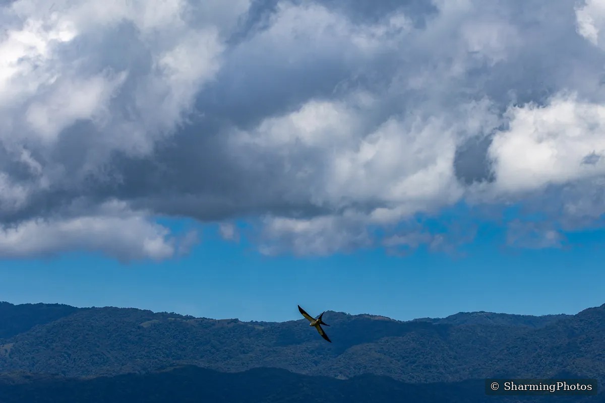 Scenery photograph by Susanne Harm