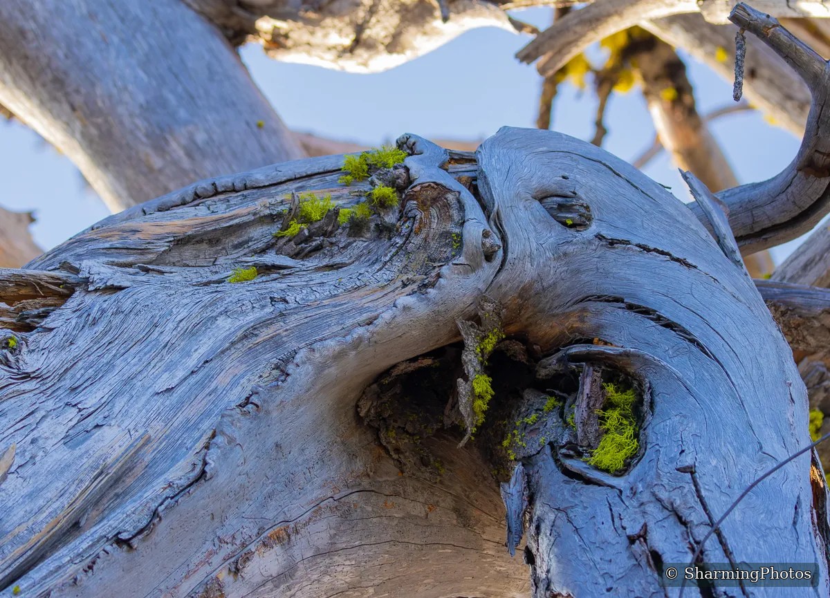 Scenery photograph by Susanne Harm