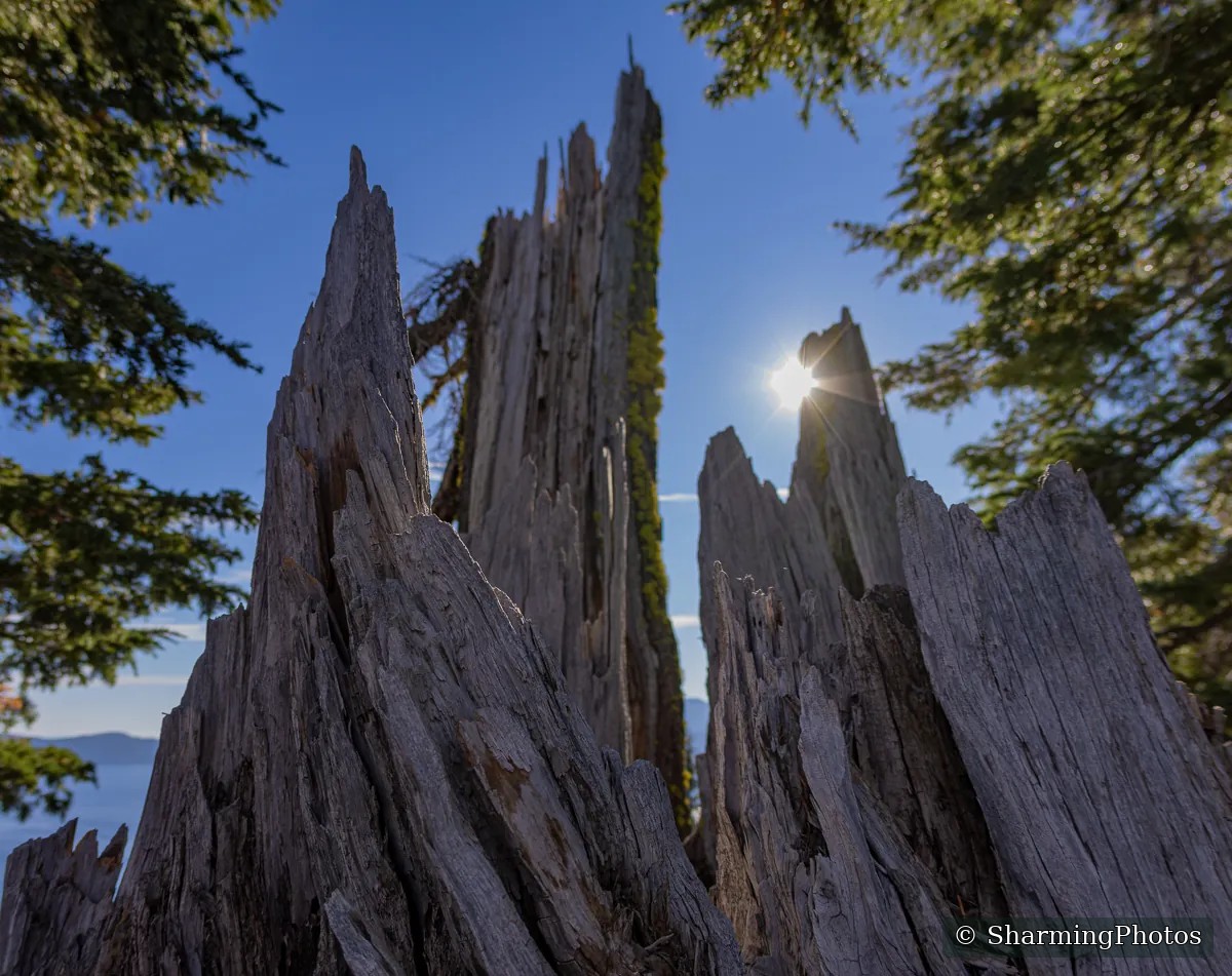 Scenery photograph by Susanne Harm